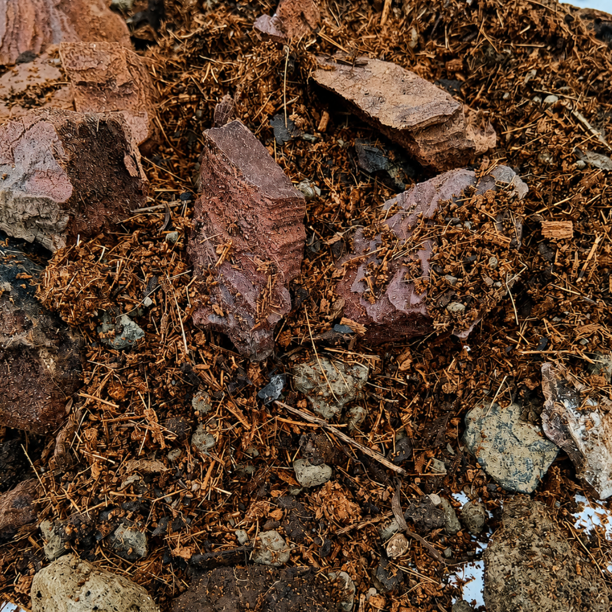 Premium Aroid Potting mix