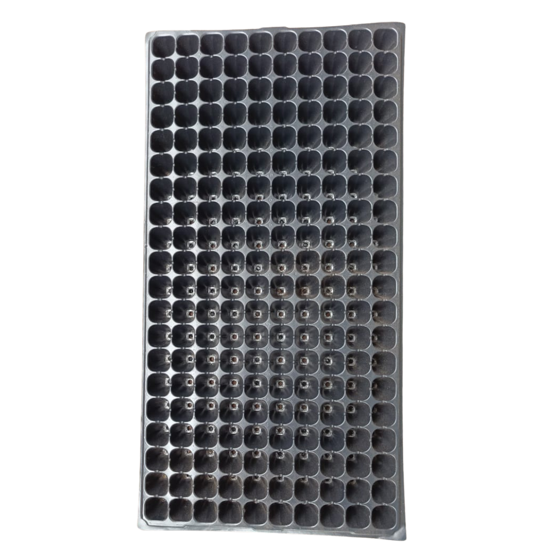 Plastic seedling tray