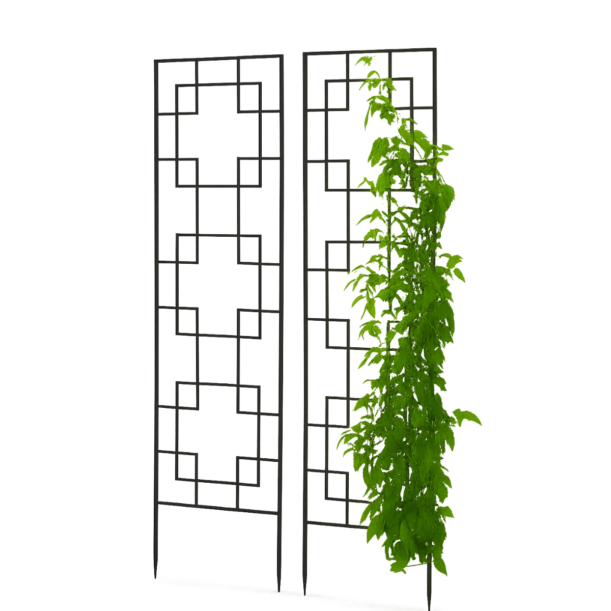 Endura Trellis ★ Garden Trellis
