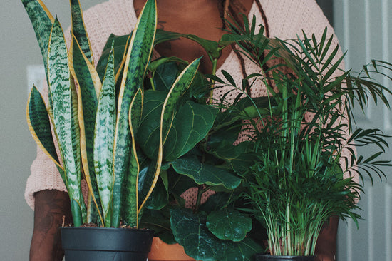 2023 is your year to green your life
