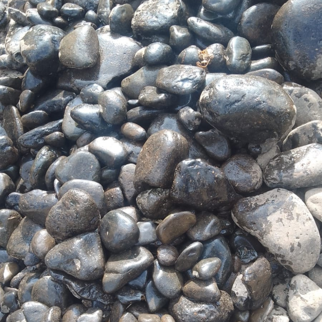 Black Unpolished Pebbles
