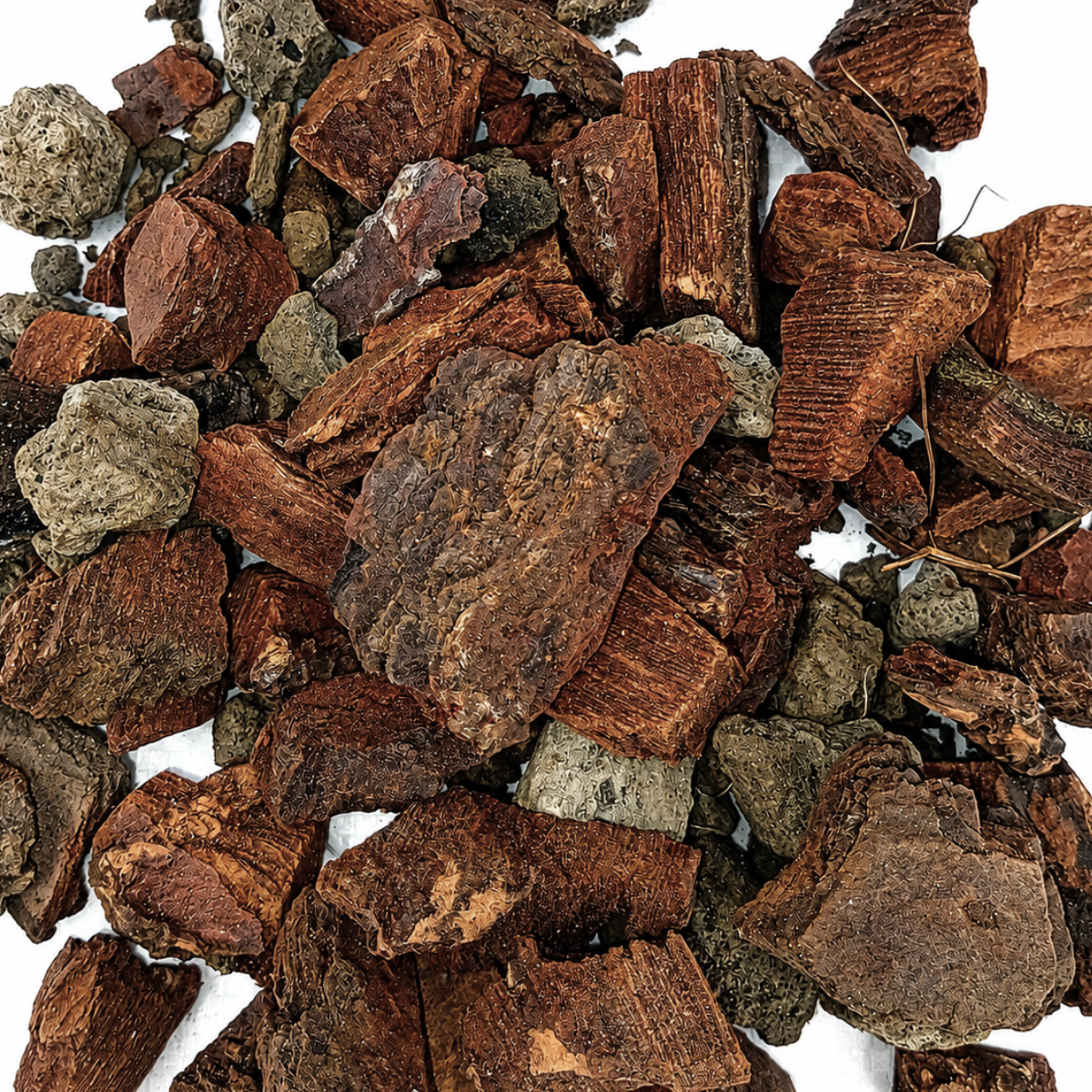 Premium Orchid mix