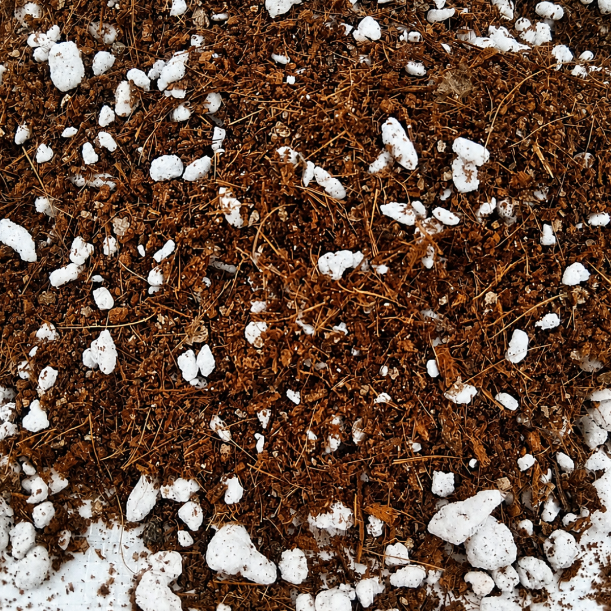 Premium rooting mix