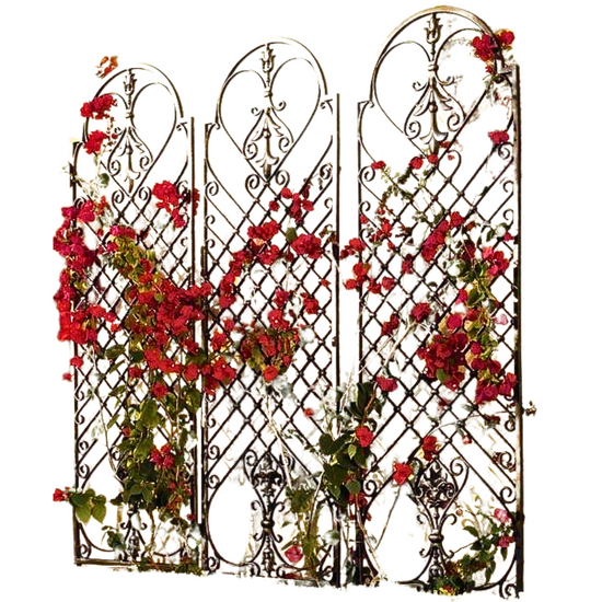 Classic Scrollwork Trellis ★ Garden trellis