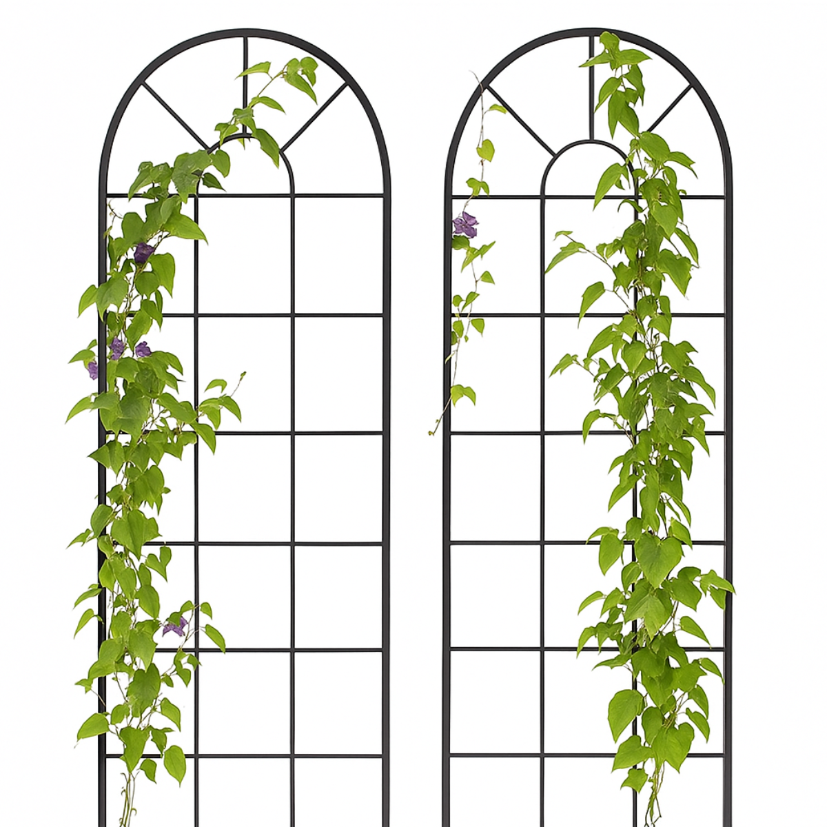 Arched Grid Trellis ★ Garden Trellis