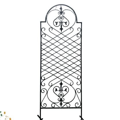 Classic Scrollwork Trellis ★ Garden trellis