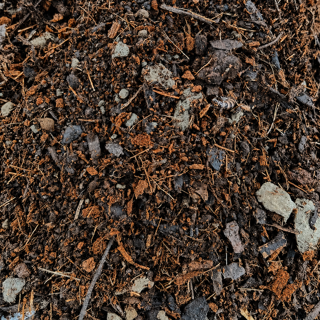 Vegetables and herbs medium mix