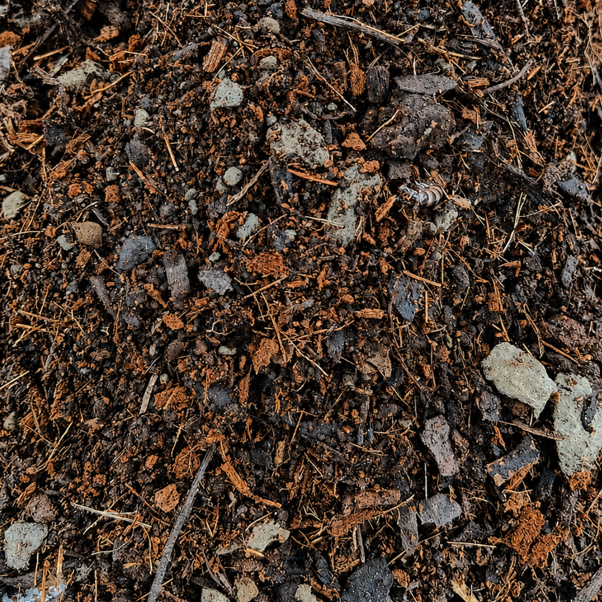 Vegetables and herbs medium mix