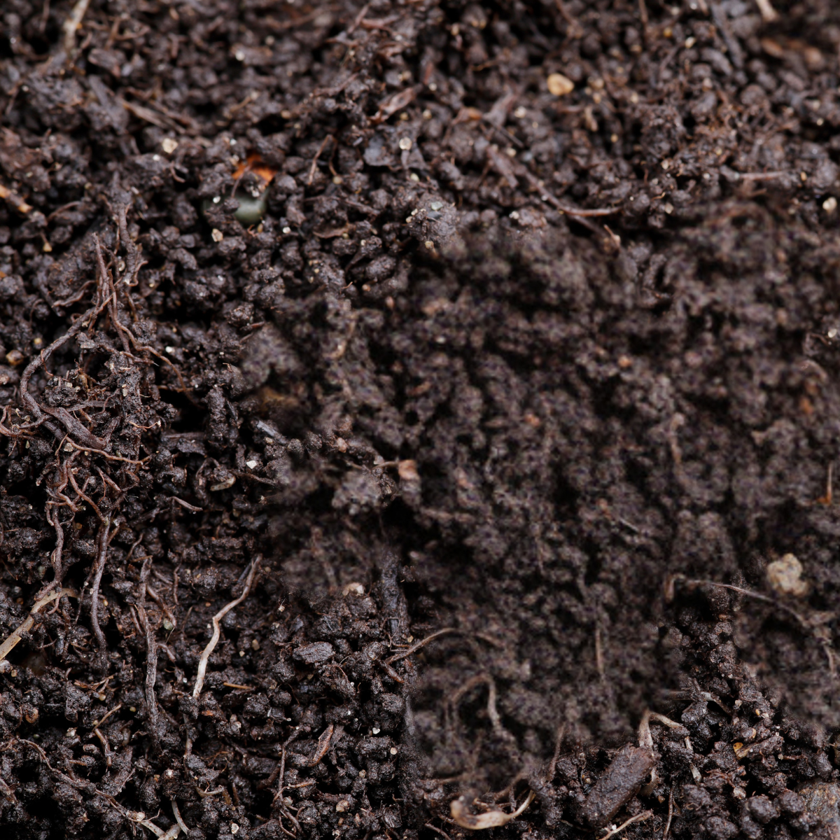 Vermicompost