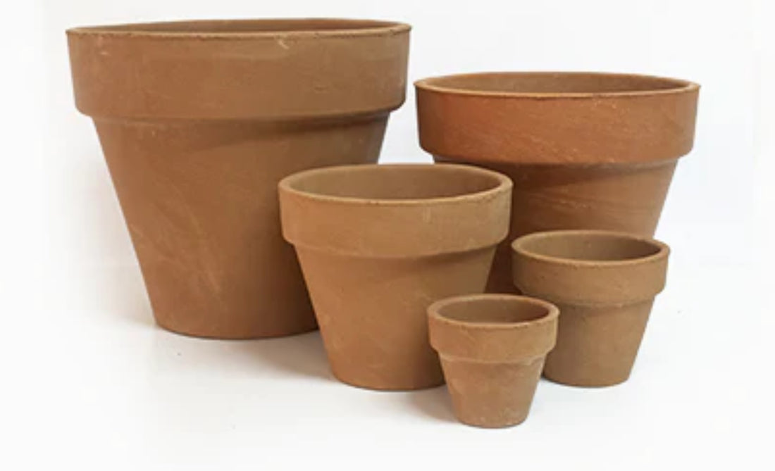 Clay Classy Collection