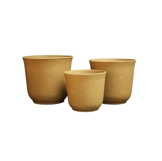 Clay Curves Collection