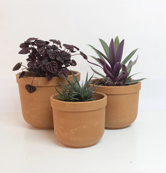Clay Arch Collection